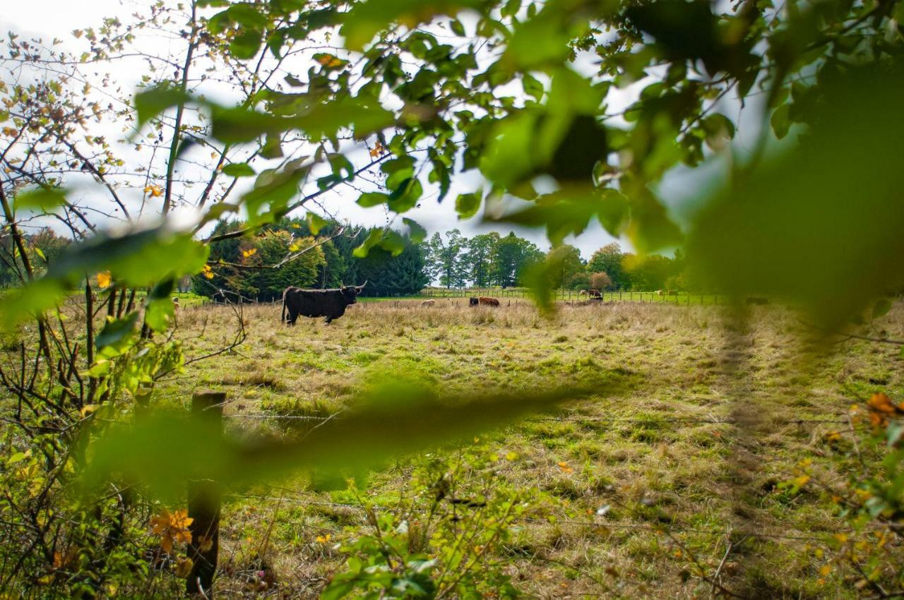 Hébergement de vacances L'anerie De Sourbrodt